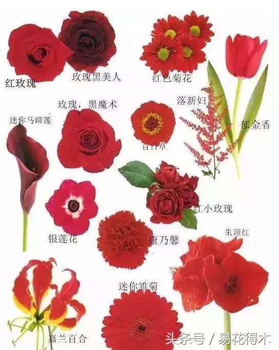 复古手捧花的最佳搭配,手捧花最佳搭配图片