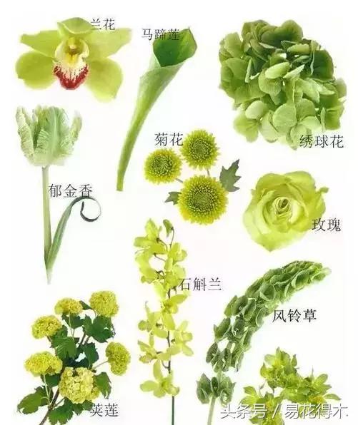 复古手捧花的最佳搭配,手捧花最佳搭配图片