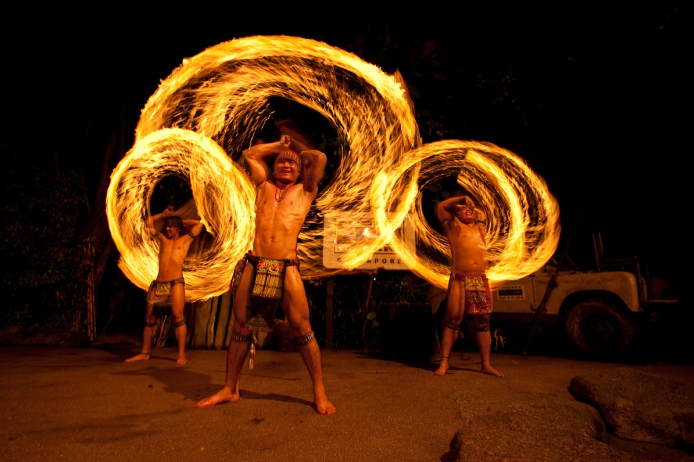 夜间动物园新加坡,新加坡夜间动物园有表演吗