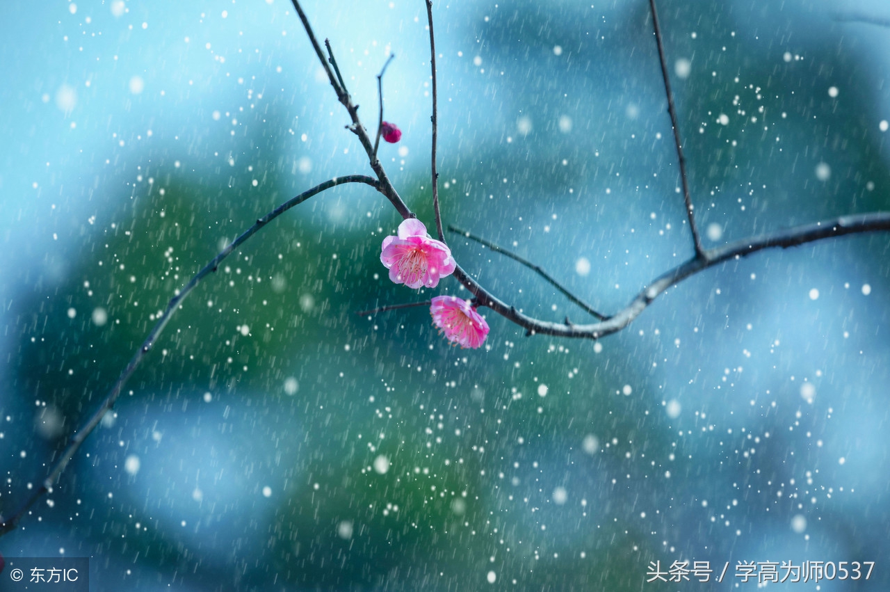 奇妙的想象三年级300字的优秀作文,我有一个想法三年级300字优秀作文