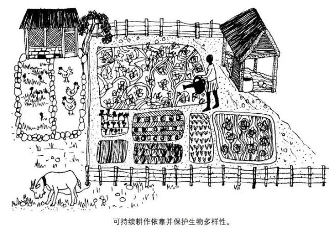 写给环境的一封信,写给社区的一封信