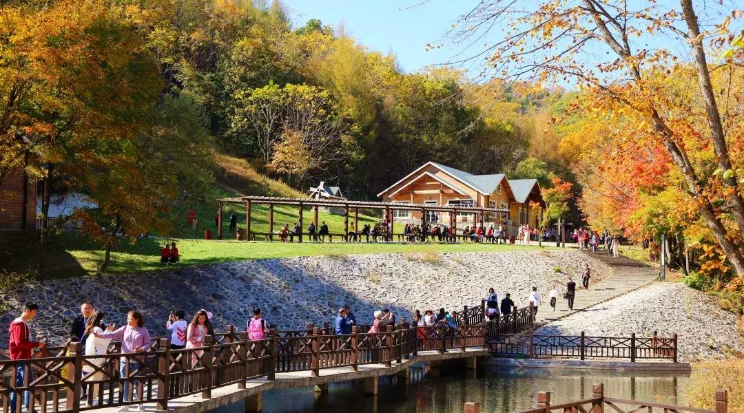 云南一天的游客人流量,云南人多的景点怎么拍照