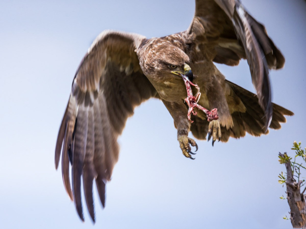 对付无赖就用卑鄙的招数,对付无赖房东不退押金我就用这招