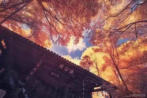 出去人从众,玄武为你安排了身边的风景