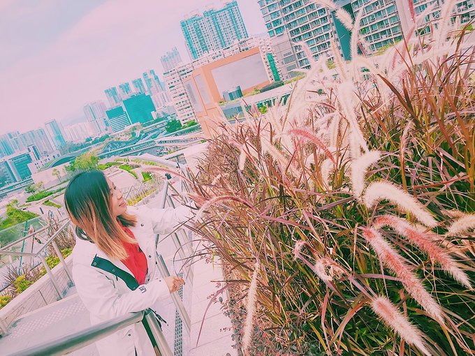 有一个地方，叫做让人忍不住一刷再刷的香港