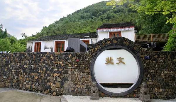 适合带着去旅行的宠物,宠物旅行攻略如何带宠物出门旅游