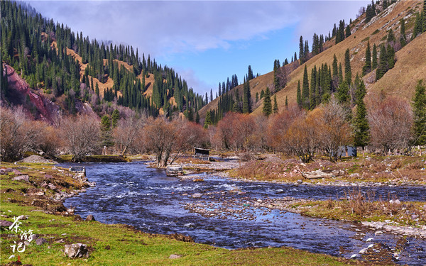 适合带着去旅行的宠物,宠物旅行攻略如何带宠物出门旅游