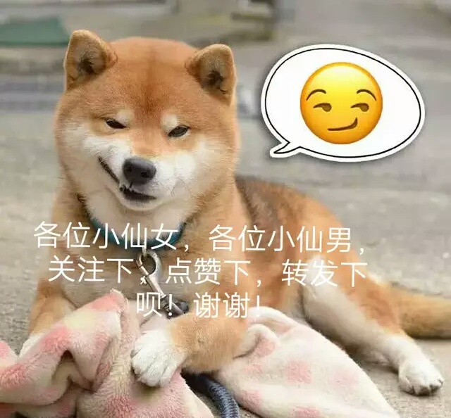 邂逅王者荣耀,王者荣耀邂逅