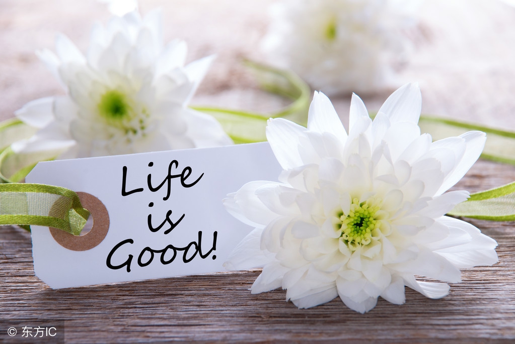 鏃ュ瓙鑻辫缇庢枃,thelightofabrightday