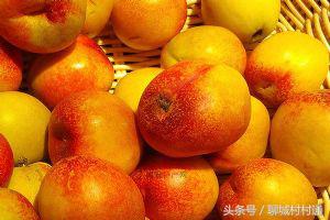 武训故里——山东聊城冠县！十大特色盘点！