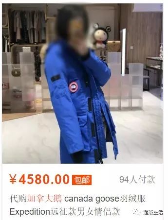 加拿大鹅卖假货,加拿大鹅打架事件