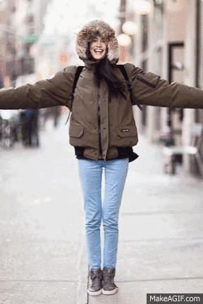 加拿大鹅卖假货,加拿大鹅打架事件