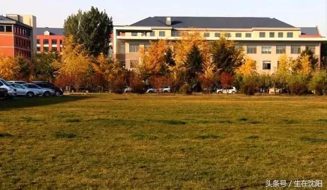 沈阳三十二所高校都有什么,沈阳高校一览表