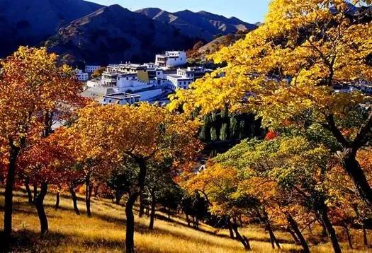 呼和浩特哪个沟秋景好,呼和浩特红石崖秋景