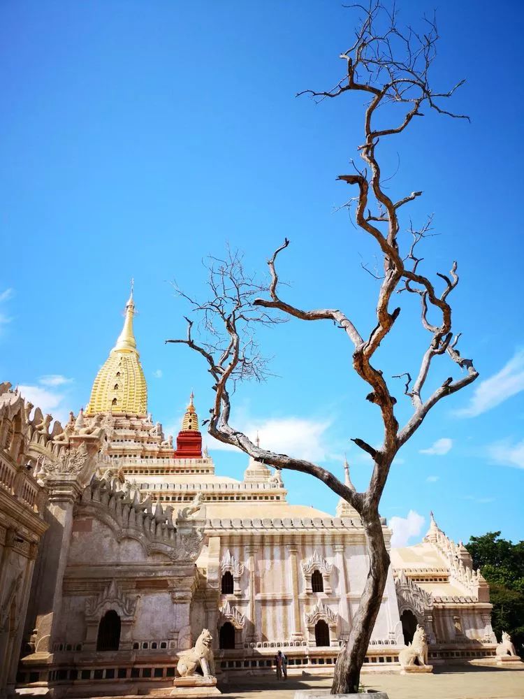 一个人的自由行西藏,一个人的泰国自由行