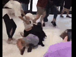 外国代购被判刑的案例,留学生代购被拘役