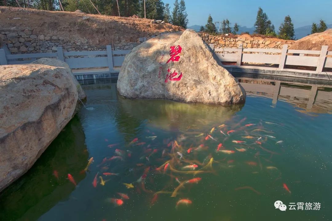云霄一日游最佳去处,云霄旅游必去十大景点图片