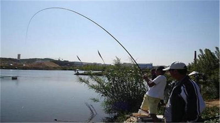 如何做到一顿口就中鱼？从这5点来聊聊