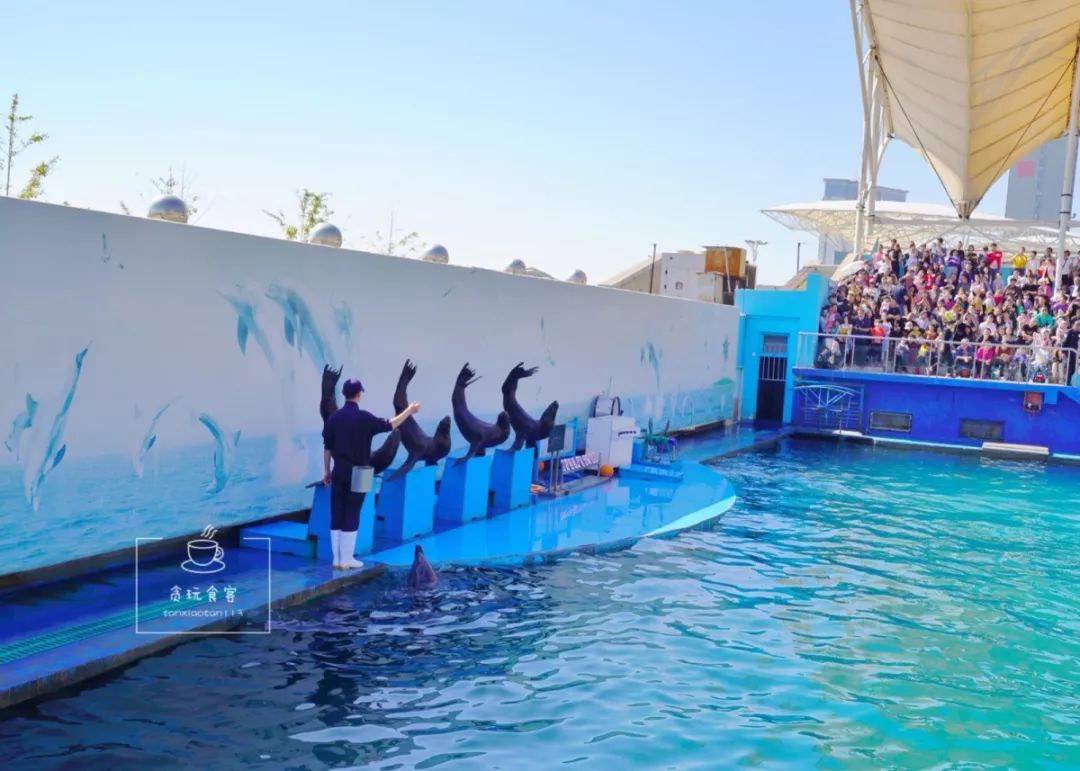 秦皇岛最值得去的旅游景点有哪些,秦皇岛值得玩的地方秋天