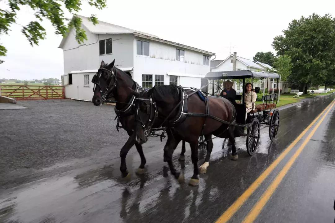 走进华盛顿简介,走进美利坚的历史