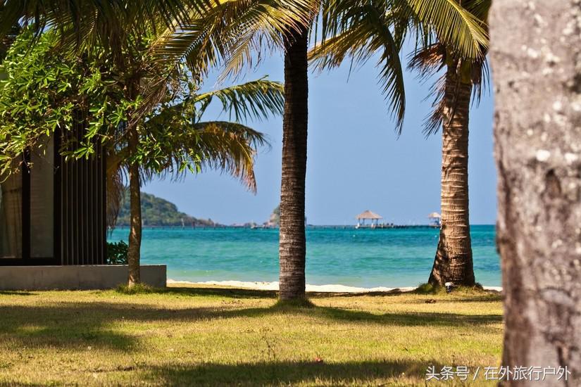 不去普罗旺斯和柬埔寨,千元飞到泰国看最美向日葵田和高棉遗址