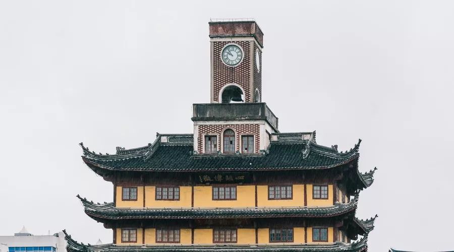 桂花香，残荷，银杏，宁波的秋天