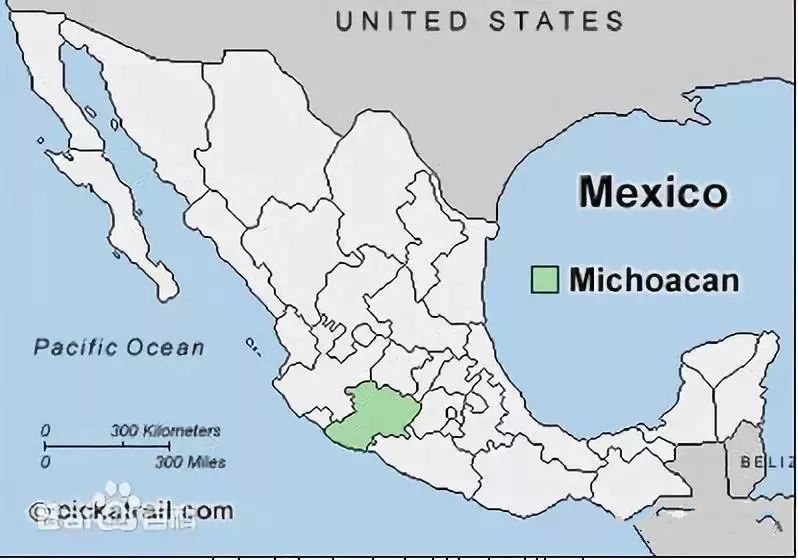 七年增长万倍，谁劝中国人买了3万吨牛油果？