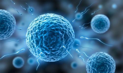 为啥想怀孕的怀不上,为什么想怀孕的时候又怀不上了