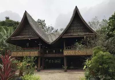 云南有几个特殊的少数民族,云南有几个独有的少数民族