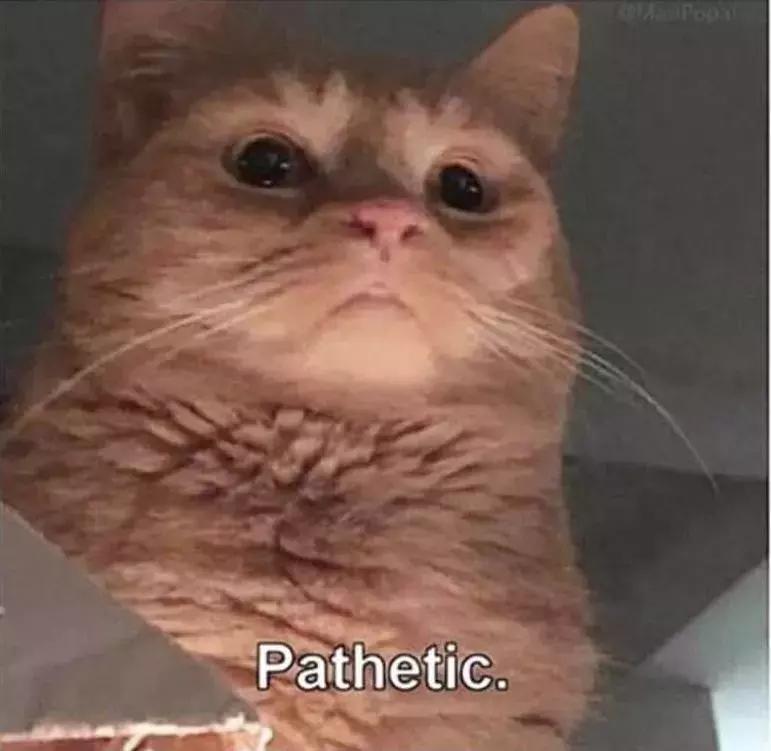 听菠萝的话：有了这些，十一不用出门了