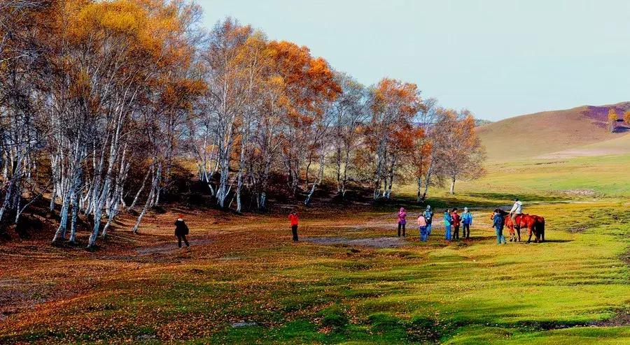草原风光宛如油画 (呼伦贝尔大草原美图)