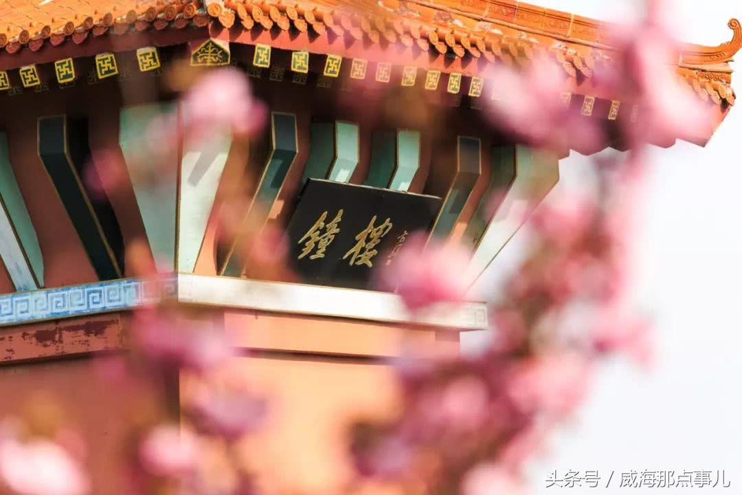 登高赏秋威海这些好去处值得一去,威海赏秋叶最好的地方