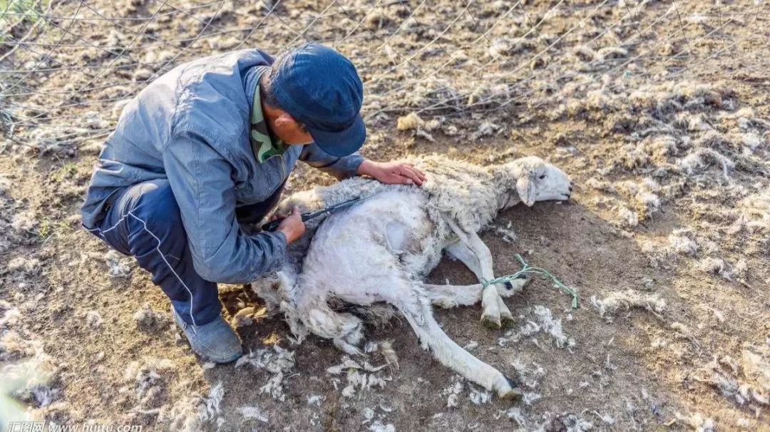 灰色*赚网**江湖：1%创造富神话99%被收割，一年买房，宝马换了保时捷