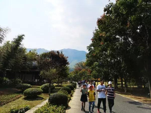 竹海国庆旅游记,竹海风景区国庆节