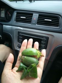 鲁能三亚湾三区,鲁能三亚湾值得买吗