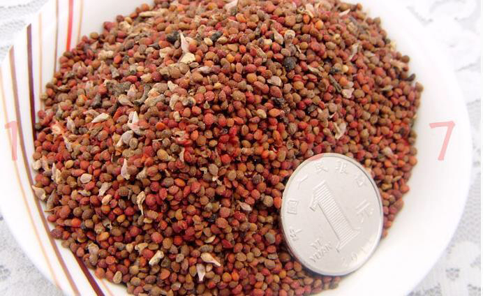 中药材楮实子如何食用,中药材楮实子还有哪些叫法