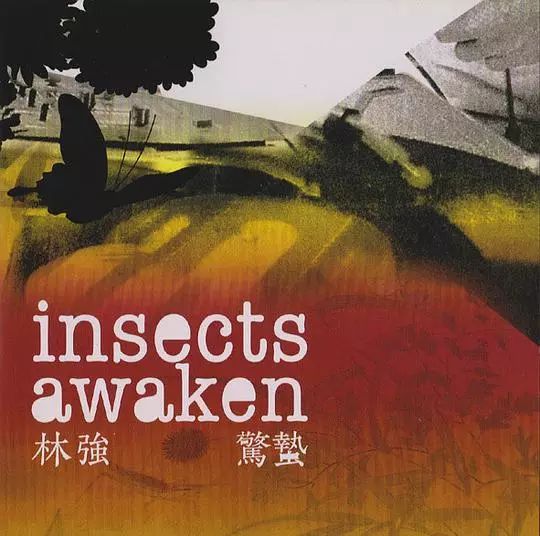 林强音乐作品,林强主演的电影