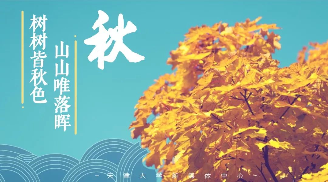 创新高!天大60人入选教育部高等学校教学指导委员会