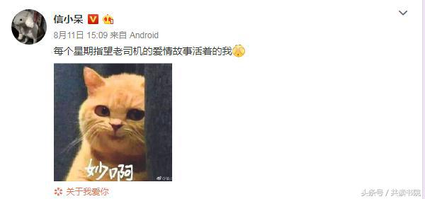 中国锦鲤有福利吗,1200万的锦鲤现在怎么样了