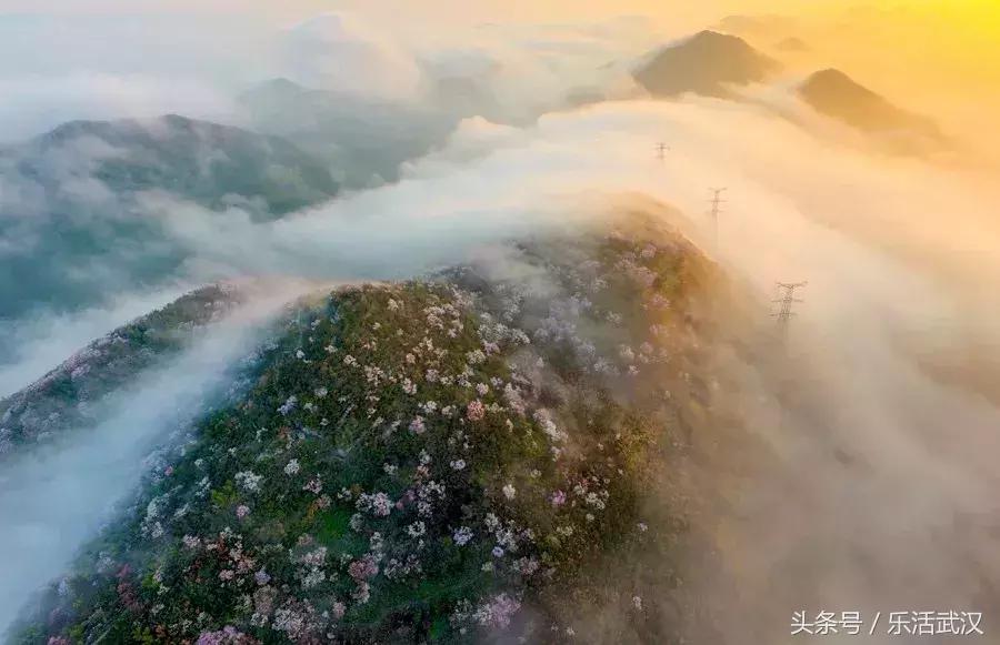 湖北公安县机场选址,湖北即将要建的机场