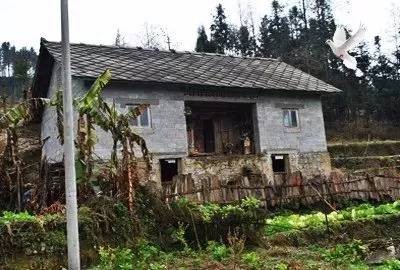 山东寿光停电通知最新,潍坊诸城停电通知最新