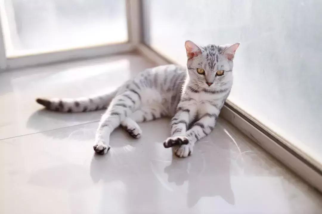 佳能rf50mmf1.4最新消息,佳能rf50mmf1.8如何正确使用