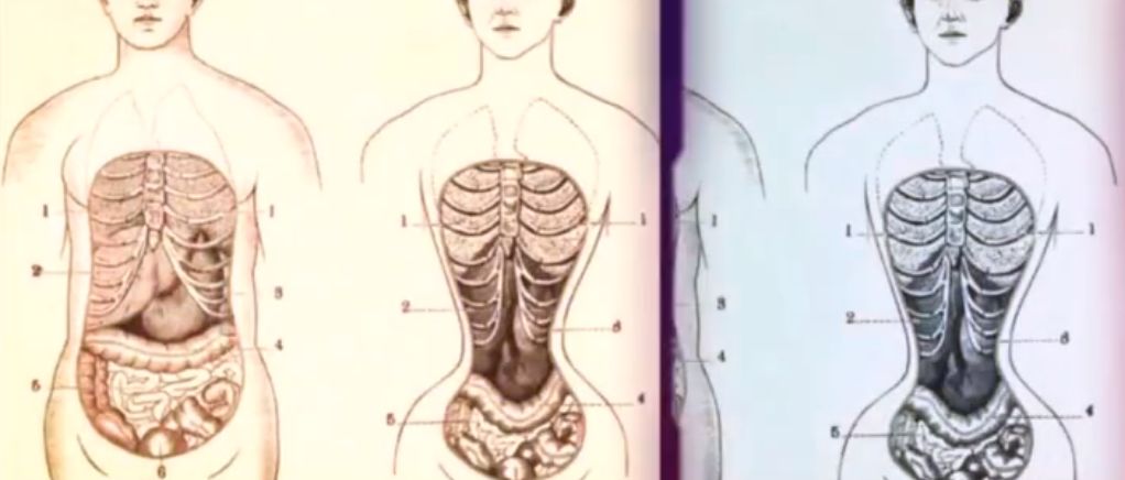 瘦腰神器对身体有害吗,瘦腰神器是真的有效果吗