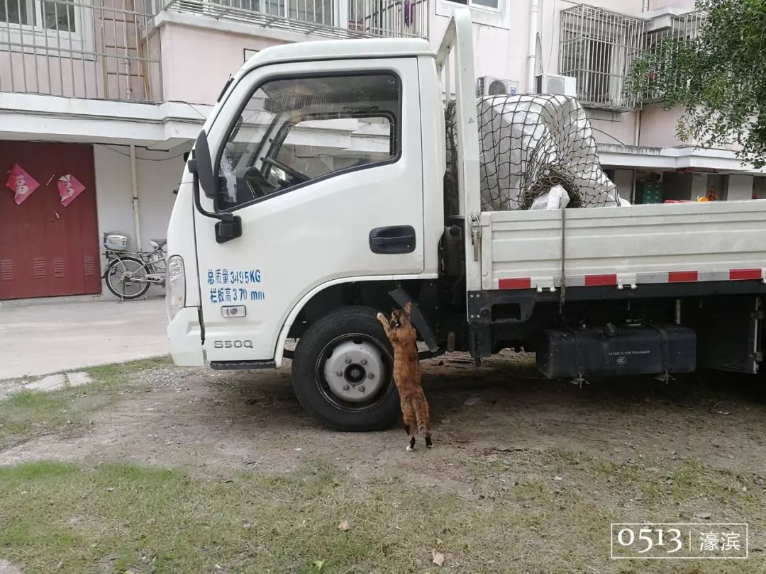 住在紫东的你快乐吗？