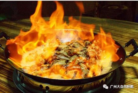 色香味俱全大自然醉鹅,大自然醉鹅真的好吃吗