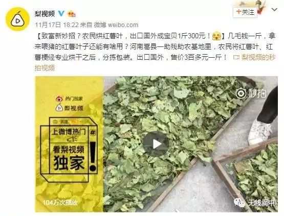 身价暴涨！蓬安农村这东西竟然卖300一斤？你家都有！