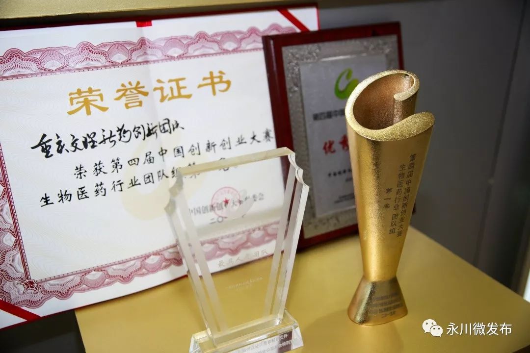 重庆永川最新活动,永川哪里有活动