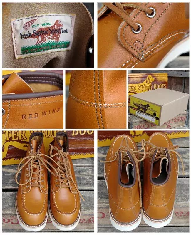 红翼究竟有多硬？硬到脚磨出血都能风靡世界