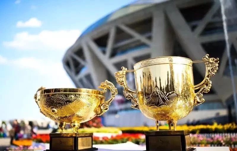 青葱中网，道阻且长