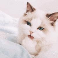 公认最好用的4款美白精华,美白真实有用护肤品